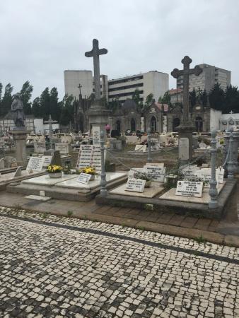 Cemitério de Lordelo do Ouro